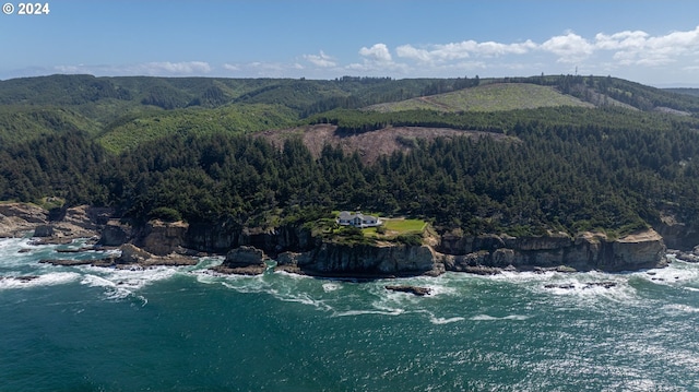 88515 Pacific Surf Ln, Bandon, OR 97411 - mountain view featuring a wooded view