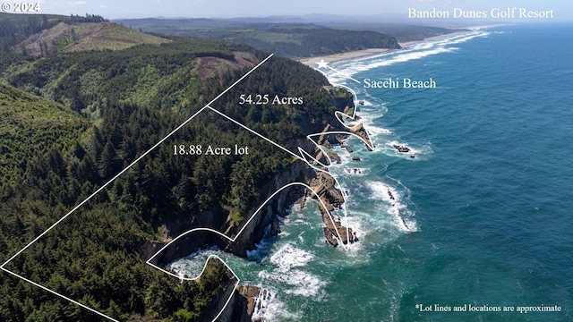 88515 Pacific Surf Ln, Bandon, OR 97411 - drone / aerial view with a view of trees and a water view