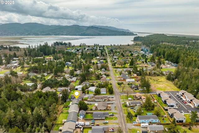 drone / aerial view featuring a mountain view and a forest view