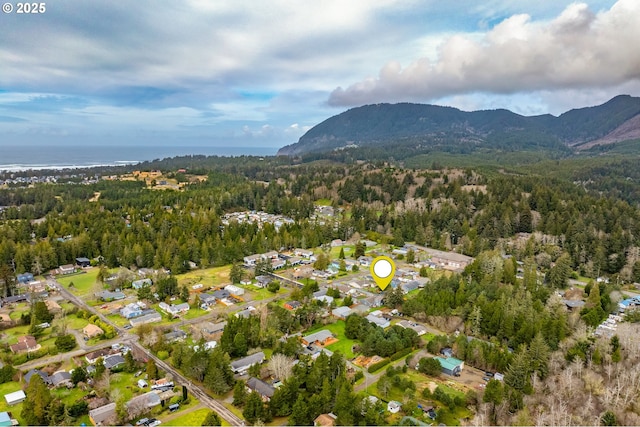 bird's eye view with a mountain view and a forest view