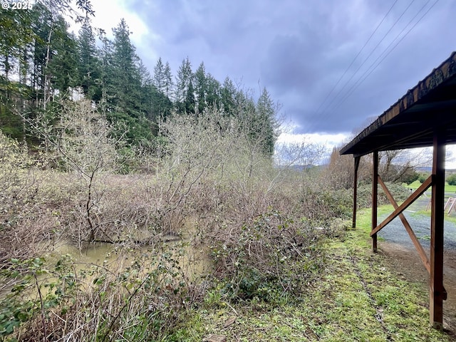 54825 Robinson Rd, Coquille, OR 97423 - view of yard