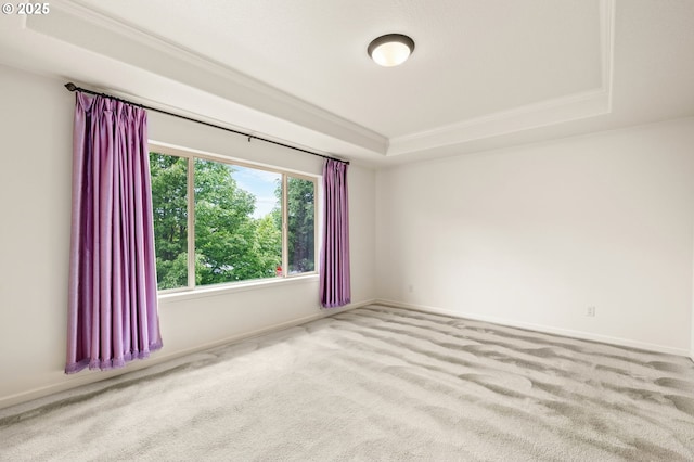 empty room featuring a tray ceiling, carpet, and baseboards