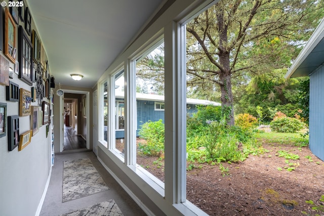 unfurnished sunroom featuring baseboards and carpet