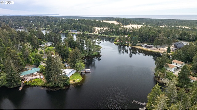 aerial overview of property's location featuring a forest and a large body of water