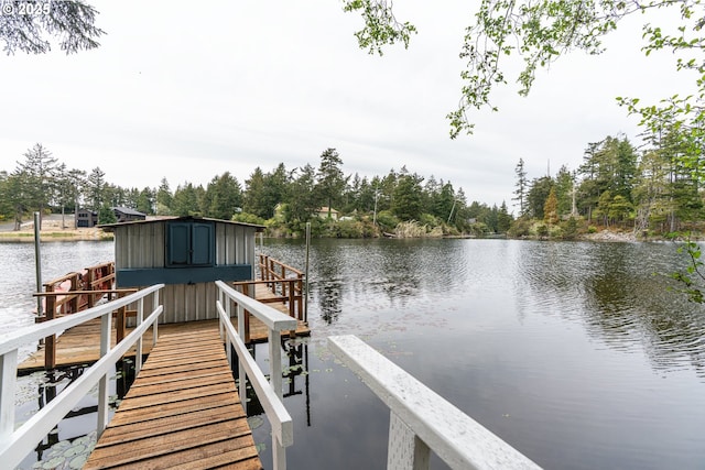 dock area with a water view