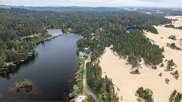 bird's eye view of a forest and a water and mountain view