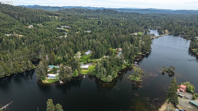aerial overview of property's location featuring a heavily wooded area and a water and mountain view