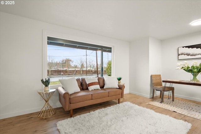 living room with wood-type flooring