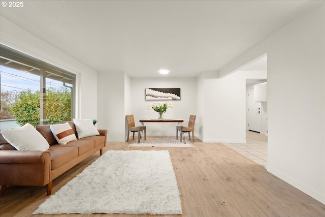 living room with wood-type flooring