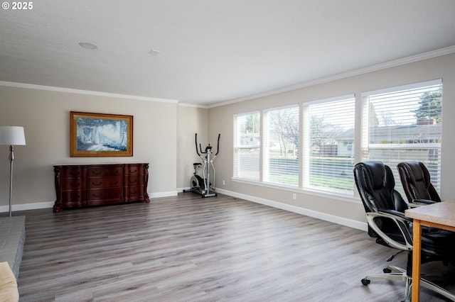 home office featuring wood-type flooring and ornamental molding