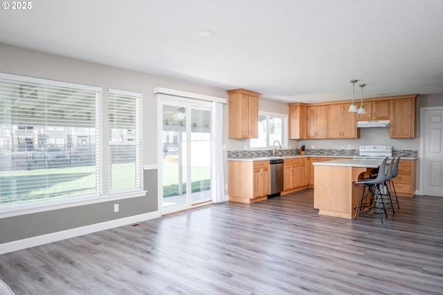 kitchen featuring wood finished floors, light countertops, stainless steel dishwasher, and a kitchen island