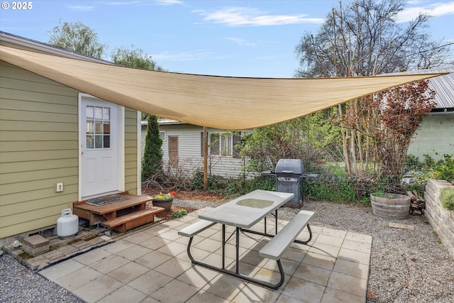 419 State St, Lyle, WA 98635 - view of patio / terrace with grilling area