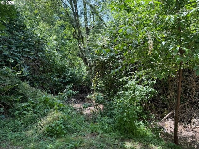 275 NE Scott Dr, Gresham, OR 97030 - view of wooded area