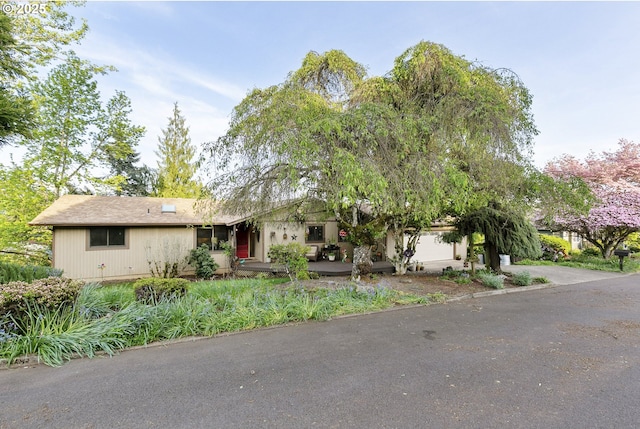 ranch-style home with aphalt driveway