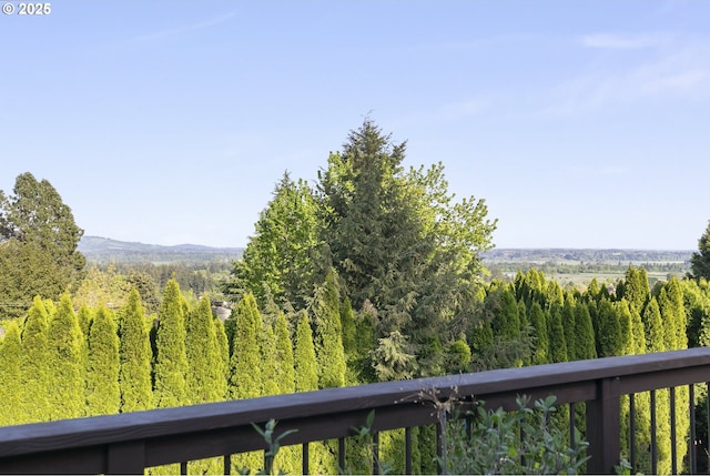 mountain view with a forest view