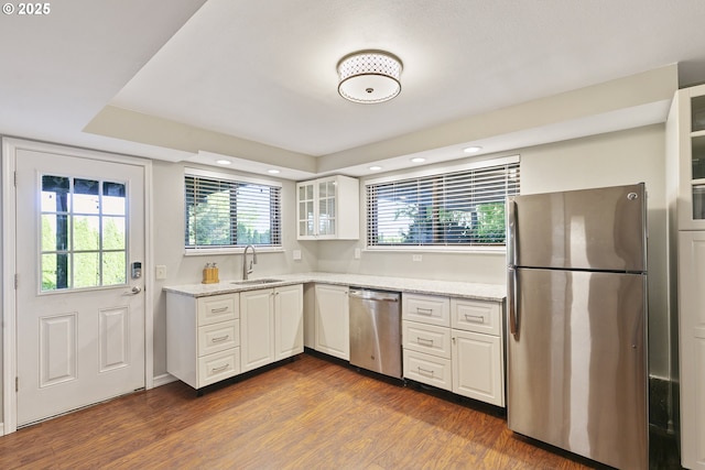 kitchen featuring dark wood-style flooring, stainless steel appliances, a healthy amount of sunlight, and a sink