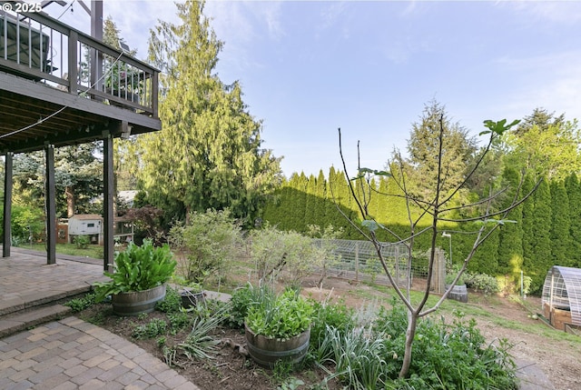 view of yard featuring a wooden deck