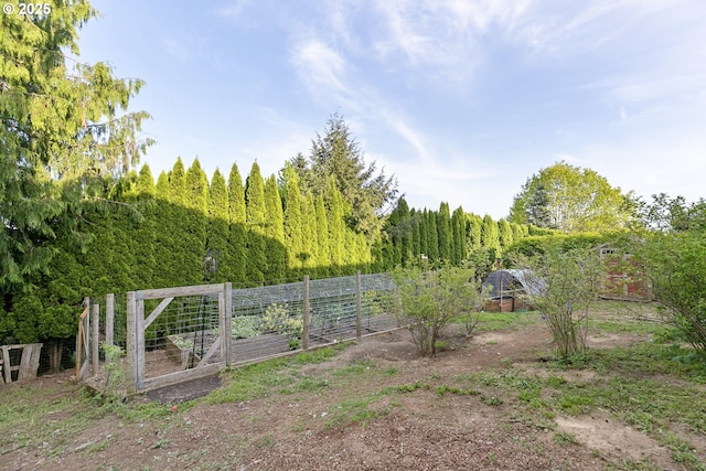 view of yard with fence and a vegetable garden