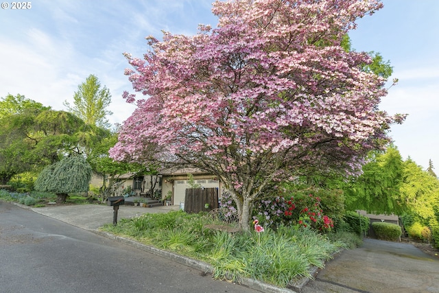 view of front of property with fence and a garage