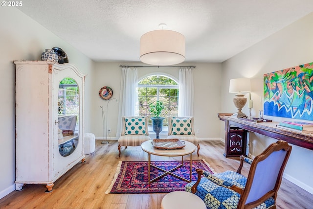 603 Lone Oaks Loop, Silverton, OR 97381 - living area with light wood-style floors and a textured ceiling