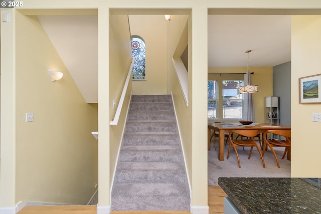 staircase featuring carpet