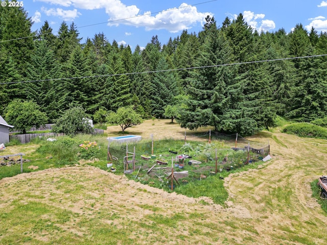 36285 Row River Rd, Cottage Grove, OR 97424 - view of yard featuring a forest view and a vegetable garden