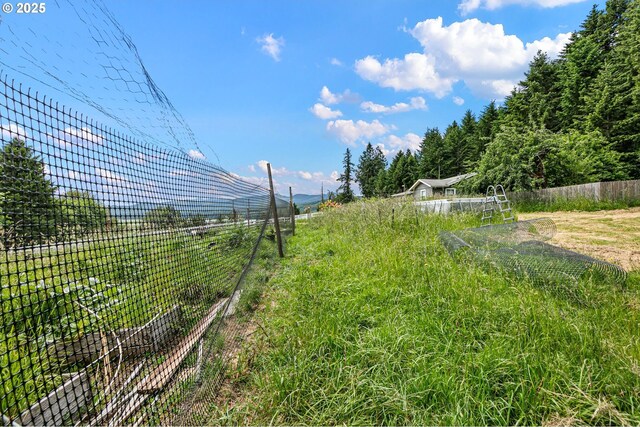 36285 Row River Rd, Cottage Grove, OR 97424 - view of yard