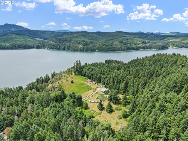 36285 Row River Rd, Cottage Grove, OR 97424 - bird's eye view of a water and mountain view