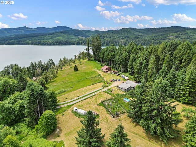 36285 Row River Rd, Cottage Grove, OR 97424 - aerial view of a forest and a water and mountain view