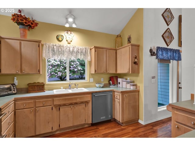 kitchen featuring a sink, dishwasher, light countertops, dark wood finished floors, and a toaster