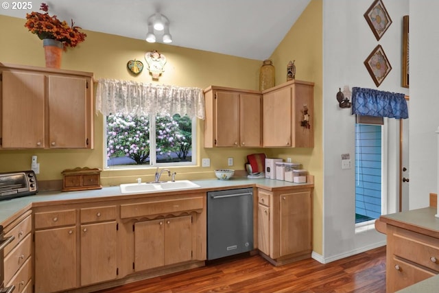 3347 31st St, Florence, OR 97439 - kitchen featuring a sink, dishwasher, light countertops, dark wood finished floors, and a toaster