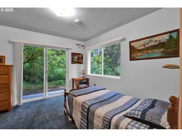 carpeted bedroom featuring access to exterior