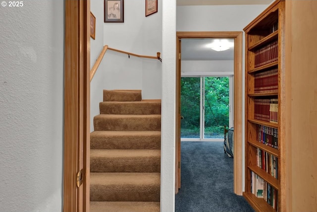 stairway with a textured wall and carpet flooring