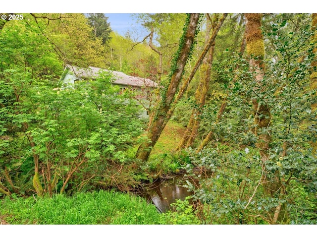 view of landscape featuring a forest view