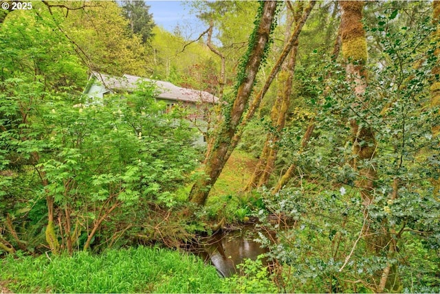 3347 31st St, Florence, OR 97439 - view of landscape featuring a forest view