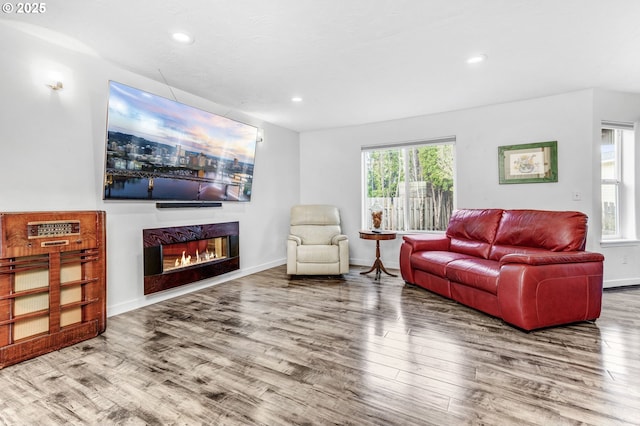 living area featuring recessed lighting, baseboards, wood finished floors, and a fireplace