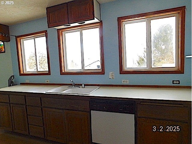 kitchen featuring light countertops, stainless steel dishwasher, and a sink