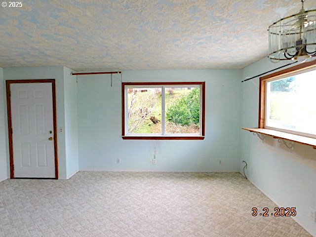 carpeted spare room with a wealth of natural light and a textured ceiling