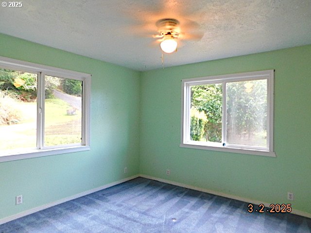 empty room featuring a healthy amount of sunlight, carpet, baseboards, and a textured ceiling