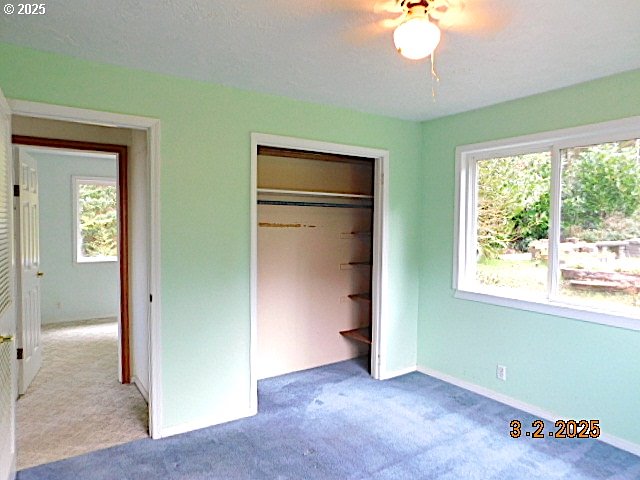 unfurnished bedroom featuring carpet floors, multiple windows, a closet, and baseboards