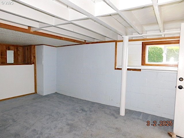 basement featuring electric panel