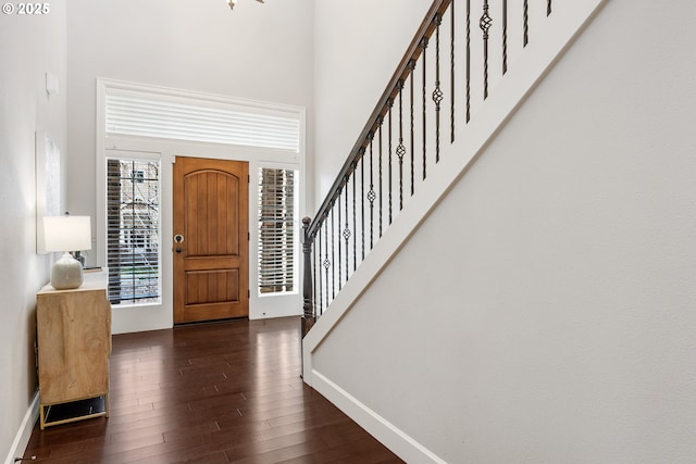 foyer entrance featuring dark wood-type flooring