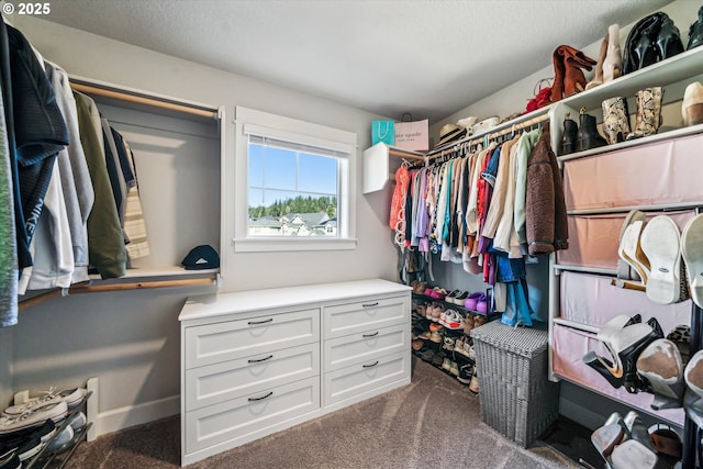 spacious closet featuring carpet