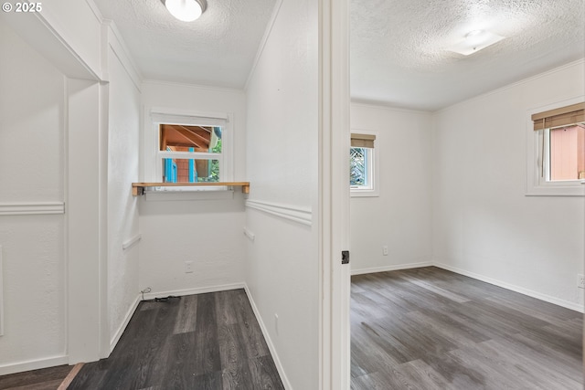 spacious closet featuring wood finished floors