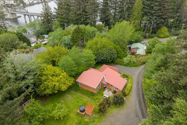 bird's eye view of a notable bridge and a nearby body of water