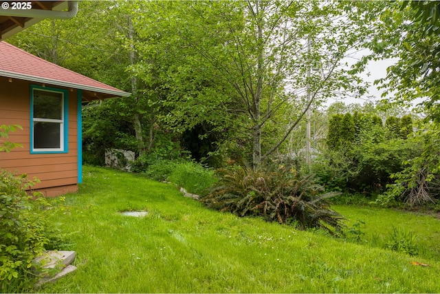 view of grassy yard