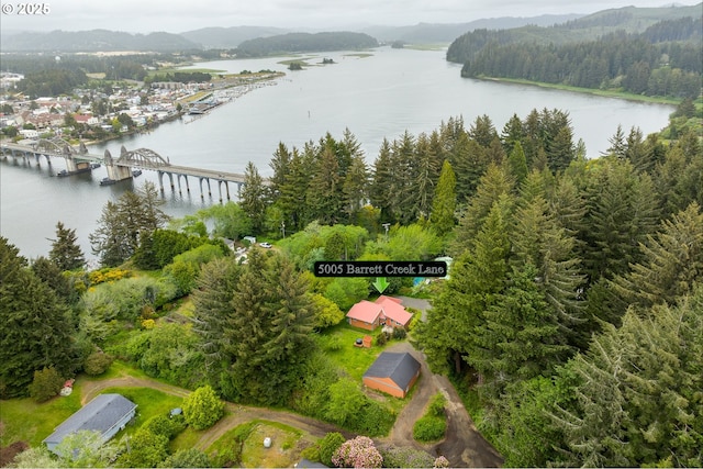 drone / aerial view of a nearby body of water, a notable bridge, and a forest