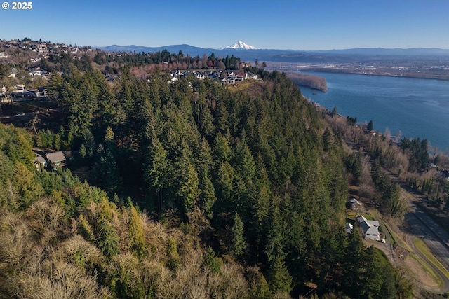 Brady Rd, Camas, WA 98607