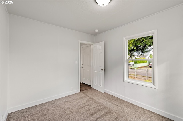 320 Beech St, Longview, WA 98632 - empty room with carpet flooring and baseboards