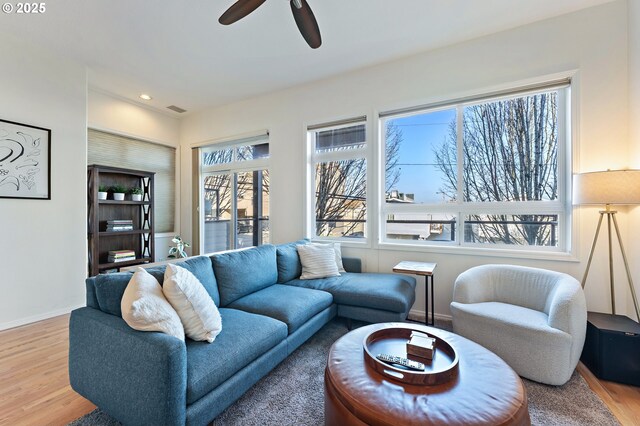 living room featuring ceiling fan, light hardwood / wood-style flooring, and a fireplace